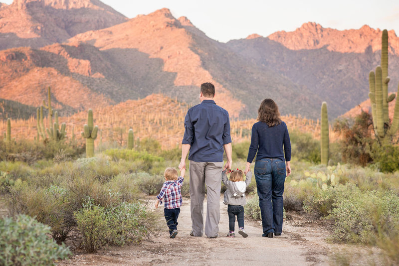 Sabino Canyon 2