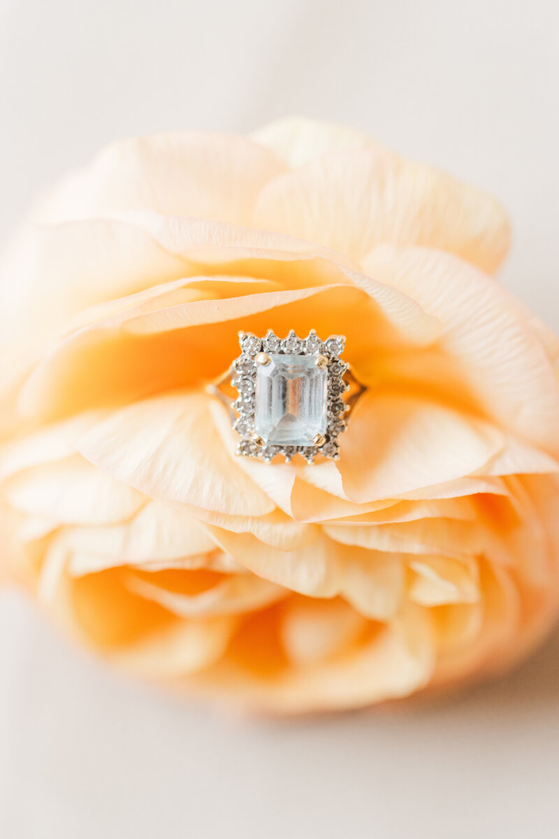 Jennifer B. Photography-Daniel_s Ridge Wedding-Ryan and Blair2023-0150