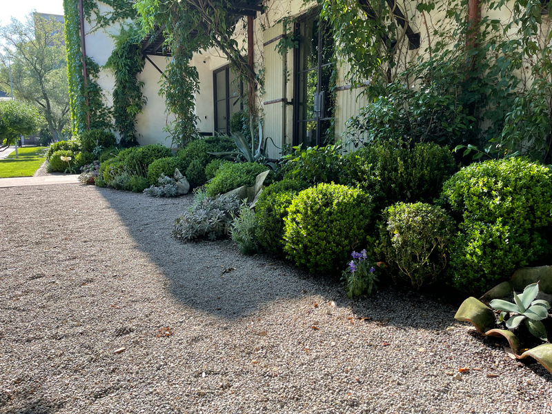 cooper-and-company-landscaping-under-window