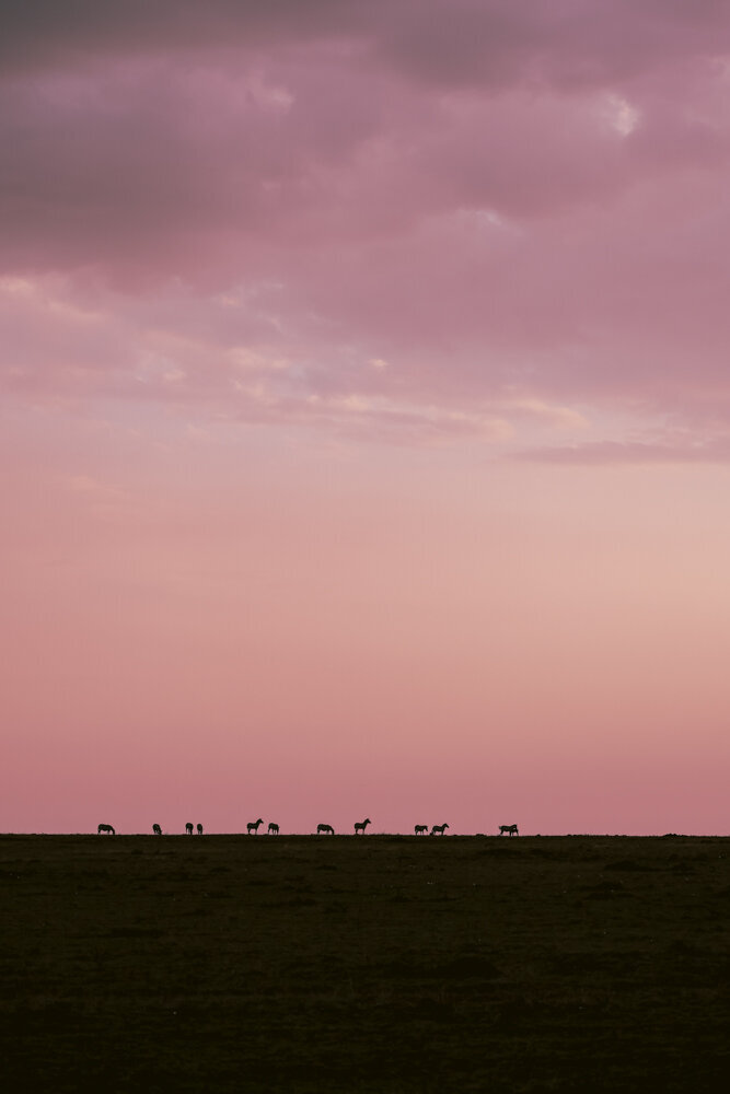 safariedited-246-Edit