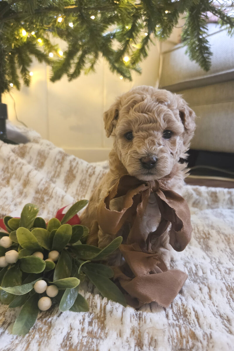 2be0f741-be96-4f13-9cc6-6846ec8399e0