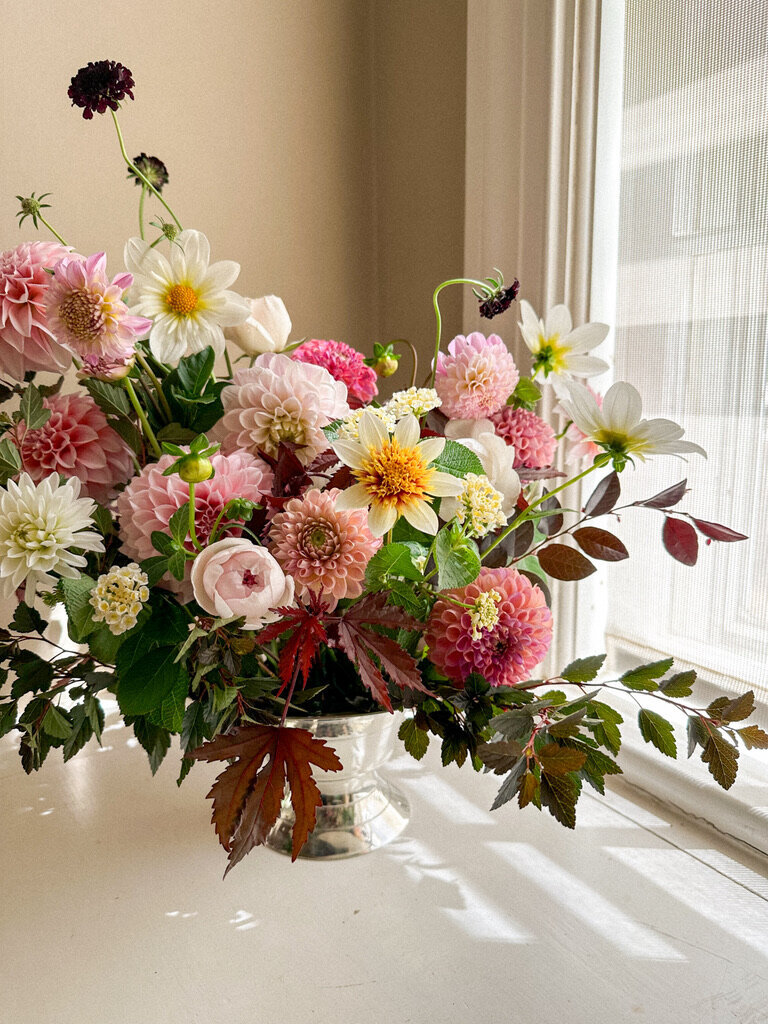 97961AB3-82A2-4944-A5A5-60274377BADC_1_105_c