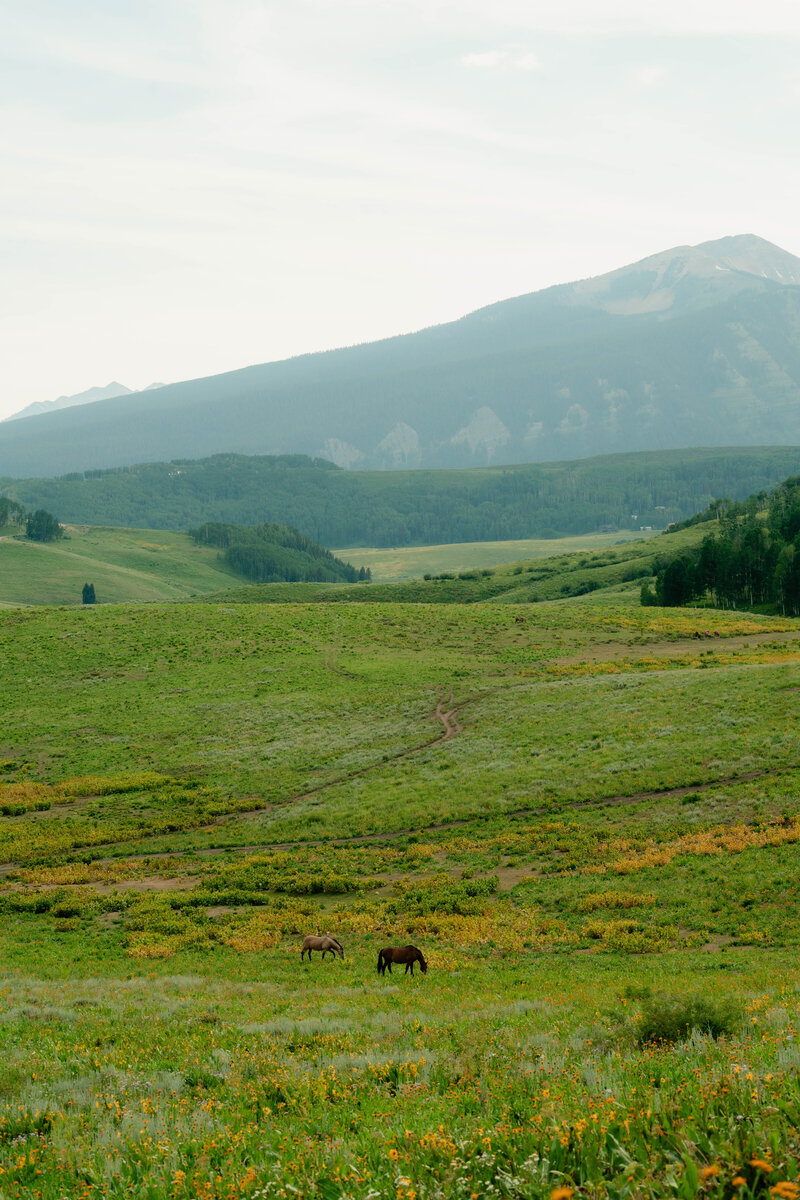 A_C_Crested_Butte_Wildflower_Engagement_Photos-111