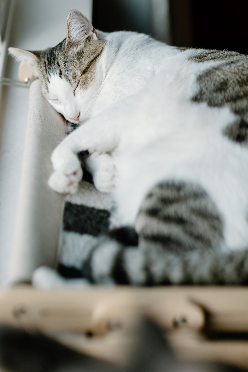 luckylady_2025-KAYLAESPARZAPHOTOGRAPHY-130