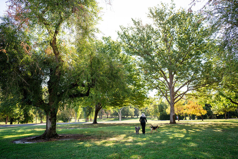 Audrie Meyer walking with her dogs in nature, representing her holistic approach to spiritual coaching and healing.