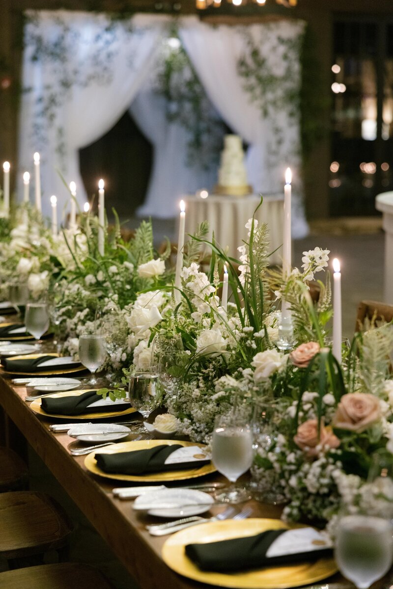 C+D-previews-MLP0097