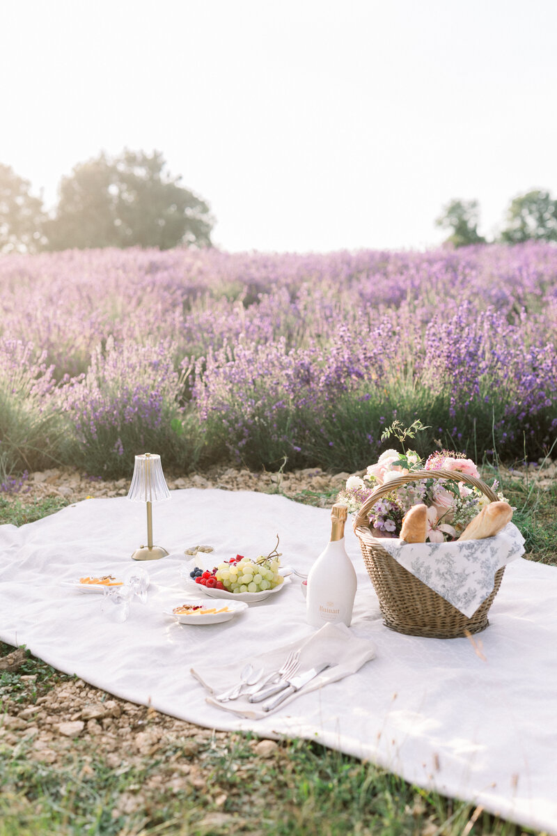 Picnic in lavender fields Prewedding
