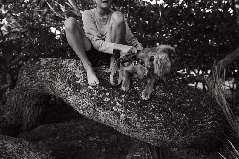 A boy and his dog in a tree - a candid outdoor moment showing a wild outdoor childhood