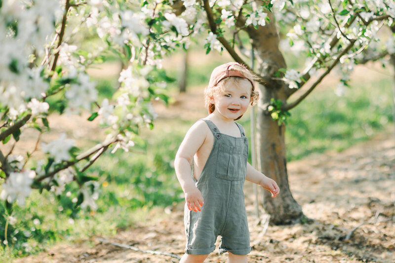 Terri-Lynn Warren Photography Halifax Family Photographer Apple Blossom Minis-4115