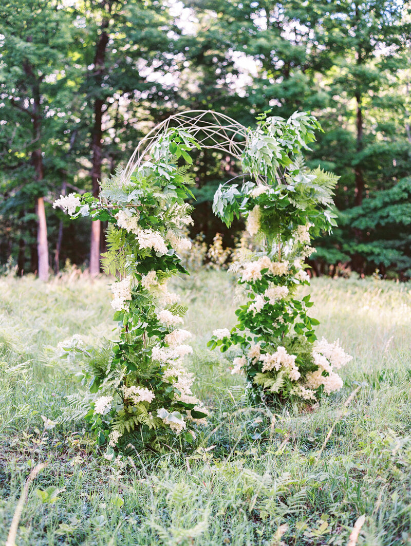Fern_021
