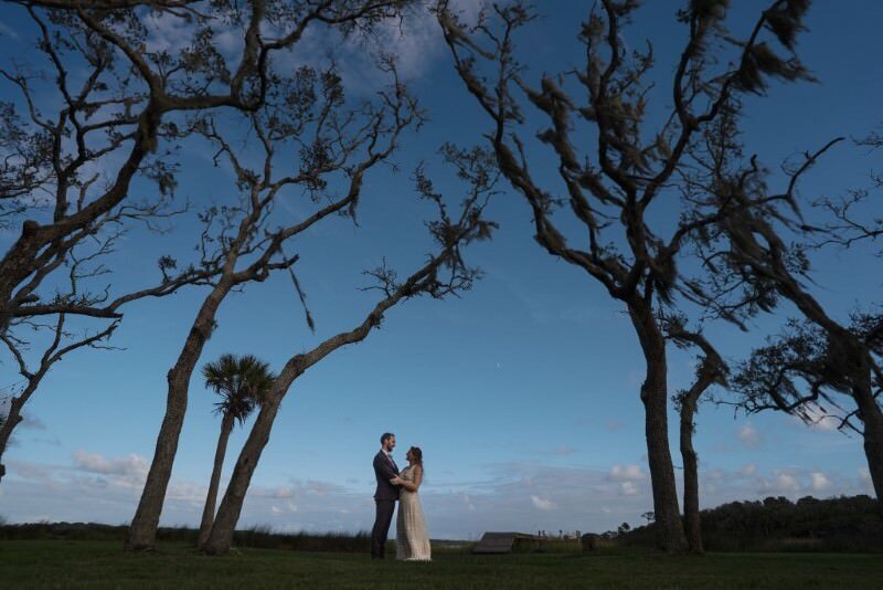 Couple embraced among spindly trees
