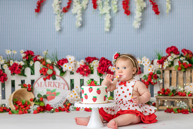 Cincinnati First Birthday Photographer