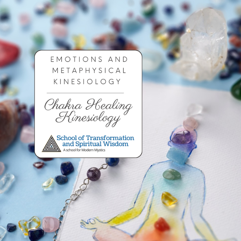 Kinesiology course promotion with text overlay: Emotions and Metaphysical Kinesiology – Kineasy Intro Course. Background includes green leaves, stones, and a lit candle.