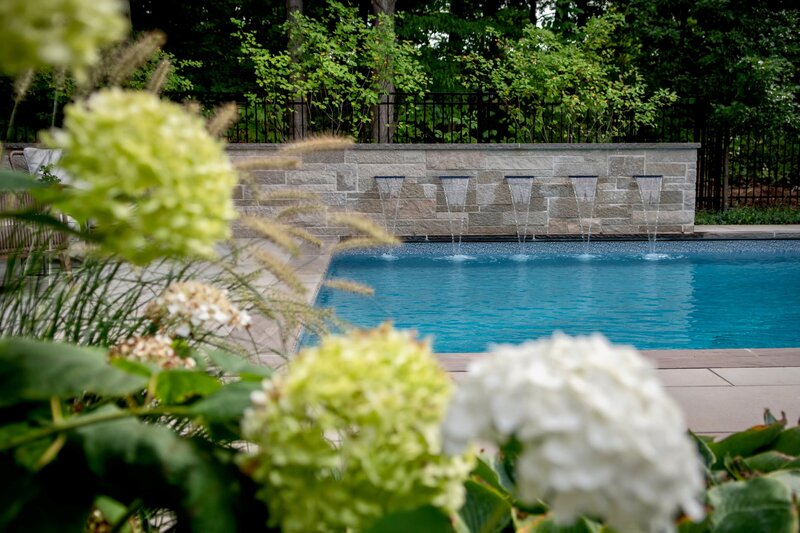 view of a rectangular pool surrounded by hydrangeas