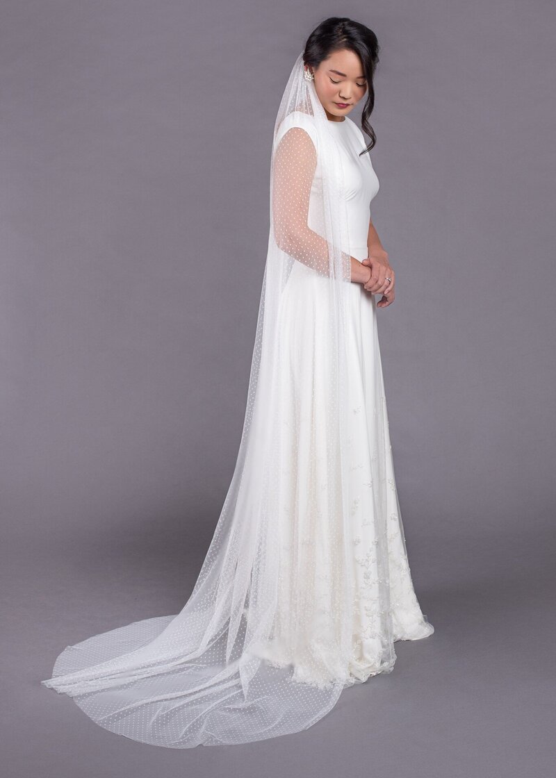 Long tulle veil with clip