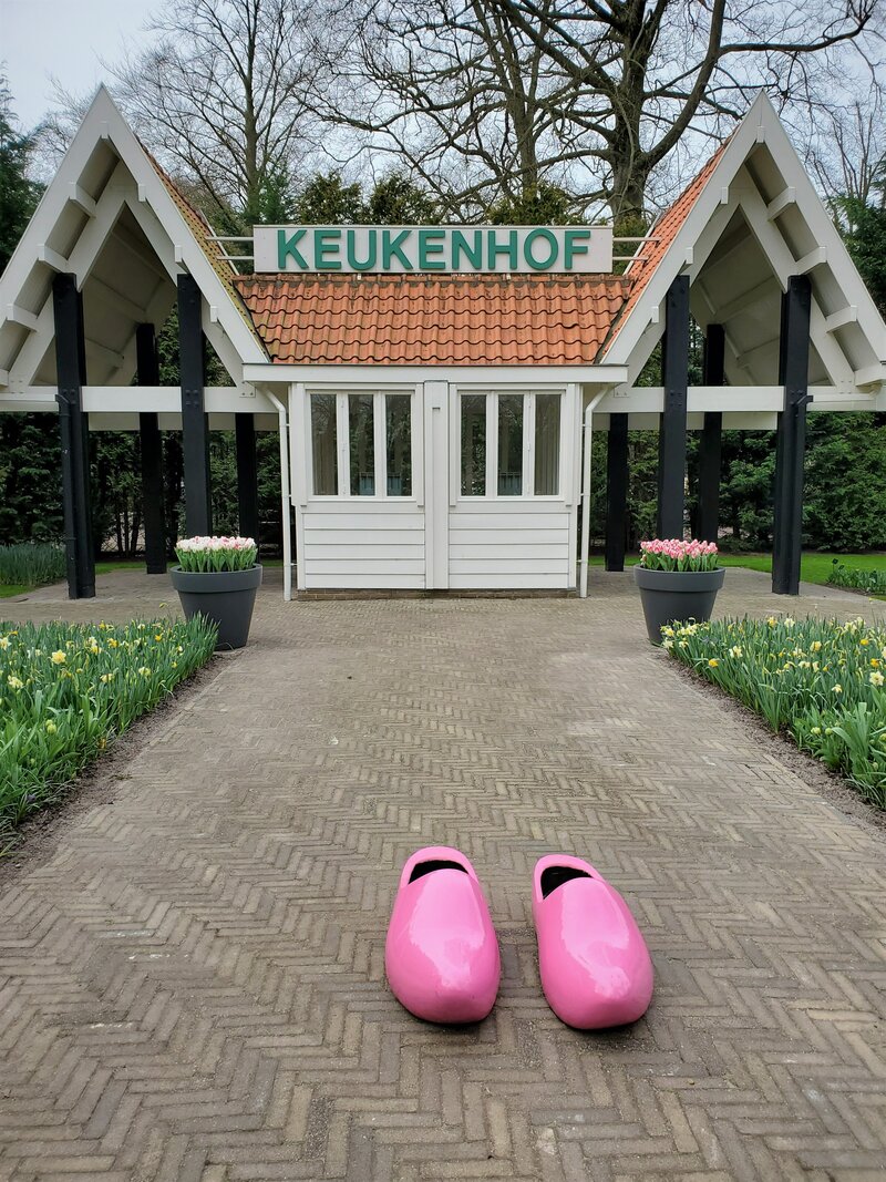 Keukenhof pink clogs