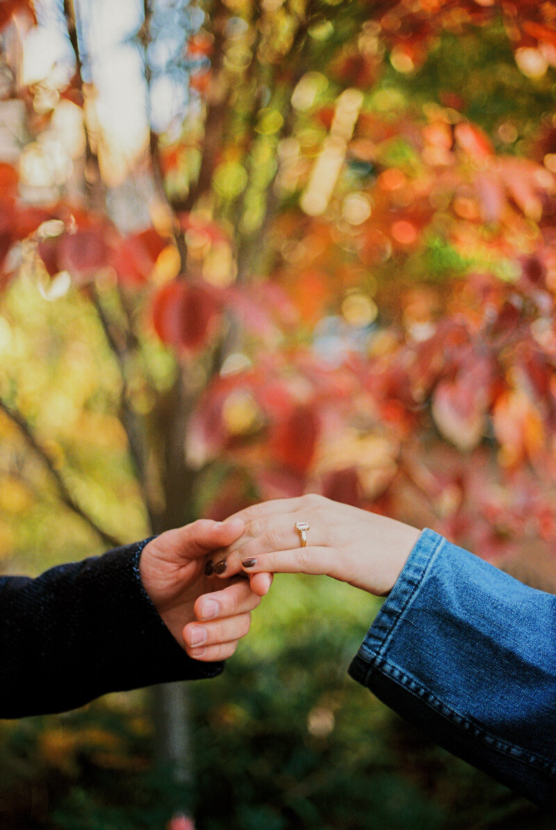 Fall-Engagement-Session-in-Georgetown-DC-on-35mm-Film-19