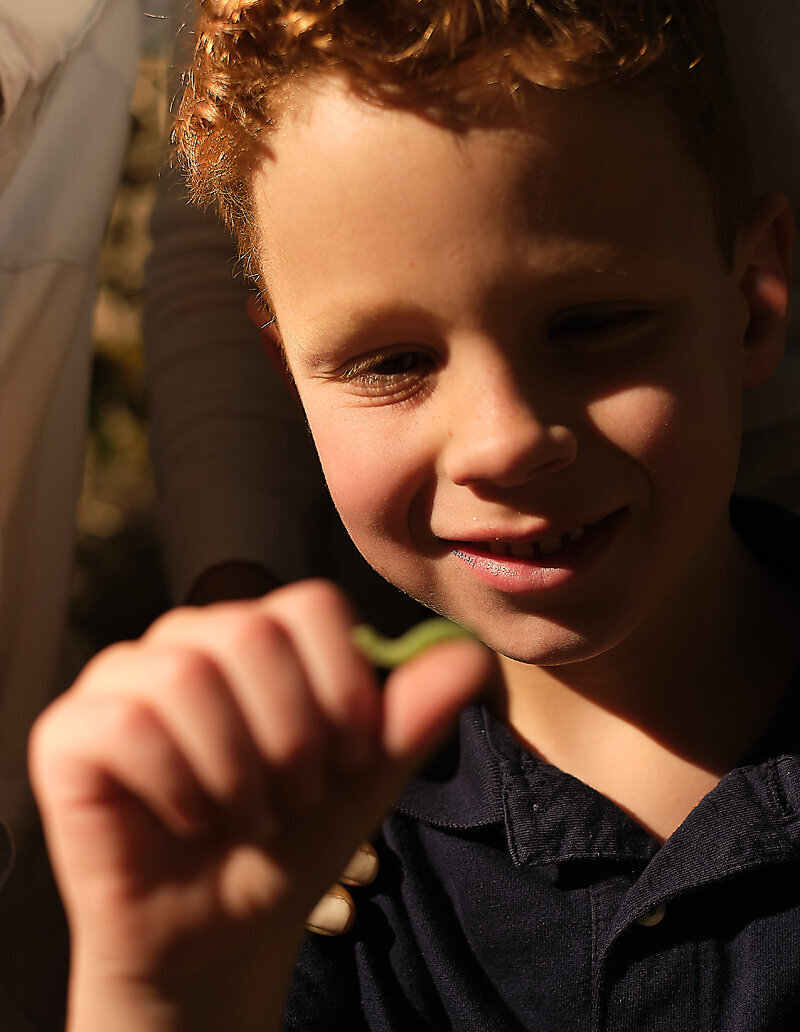 Family photo session in Ouray