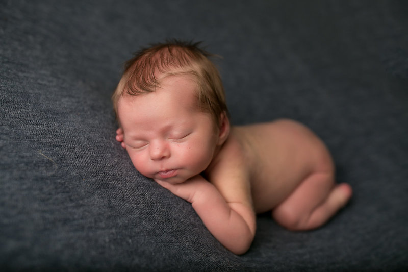brittany lynn studios newborn photography