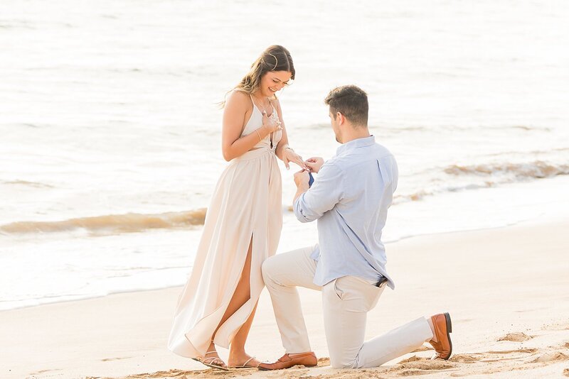 Maui Proposal Package 1