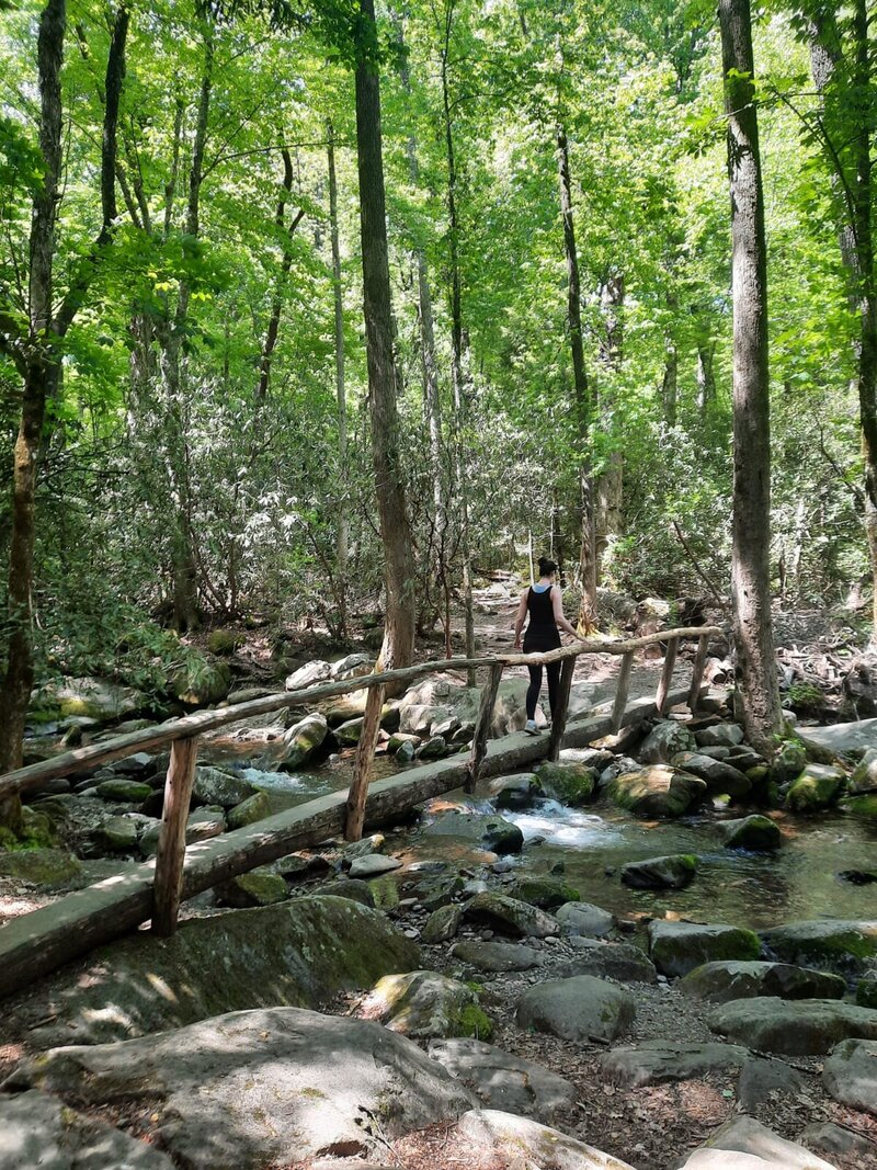 2fb423c1-b525-40a2-bde3-116bfc0967e0