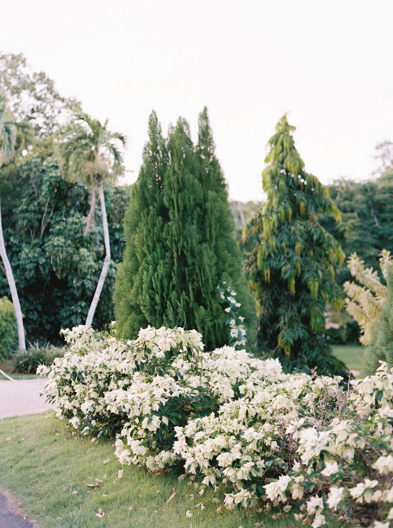Scenic landscape photo of Casa de Campo, a coastal destination wedding venue in the Dominican Republic, captured by fine art destination wedding photographer Melissa Piontkowski.