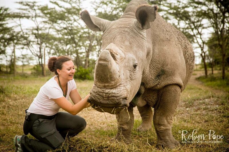 Dallas pet photographer kneels next to rhino.