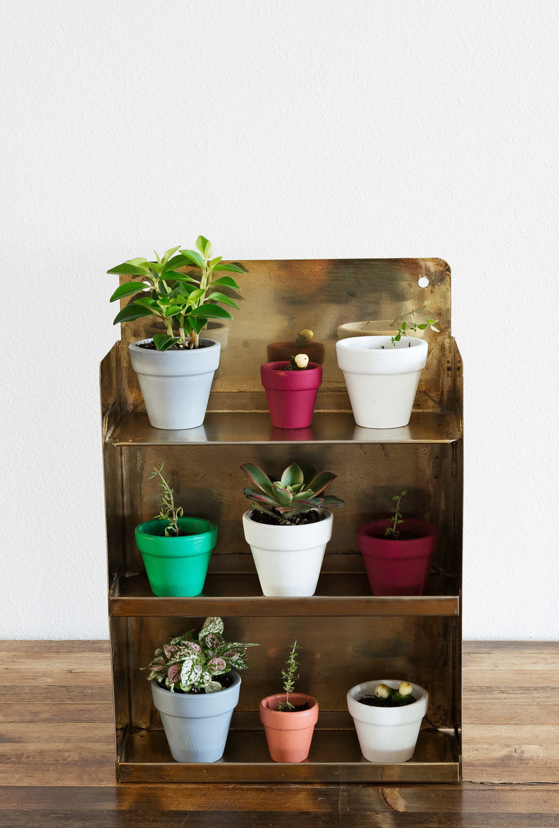 20180907-gold_shelf11