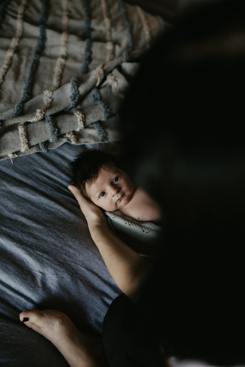 rex newborn40