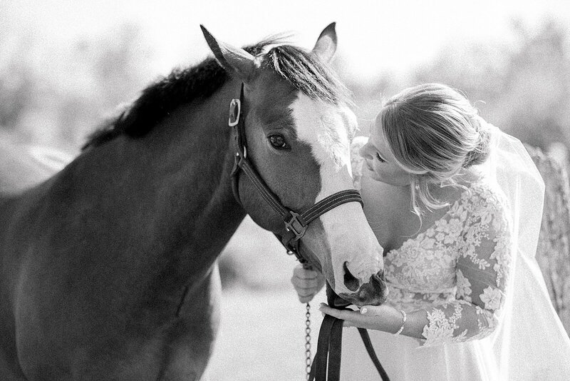 Bride with her horse on her wedding day in Ottawa