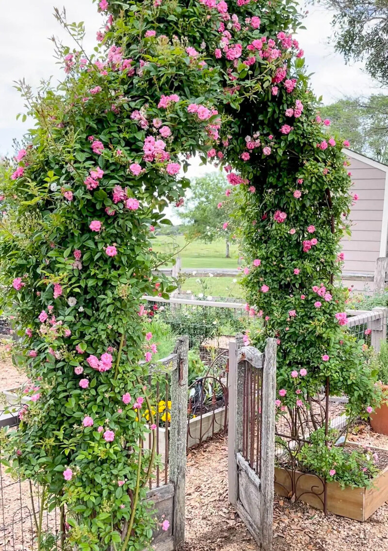 6350334b9f65cc4e18e3dfc5_rose-arch-garden-design-décor-and-farm