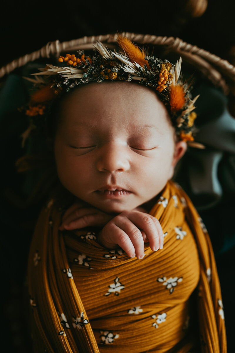 Baby Orcutt-23