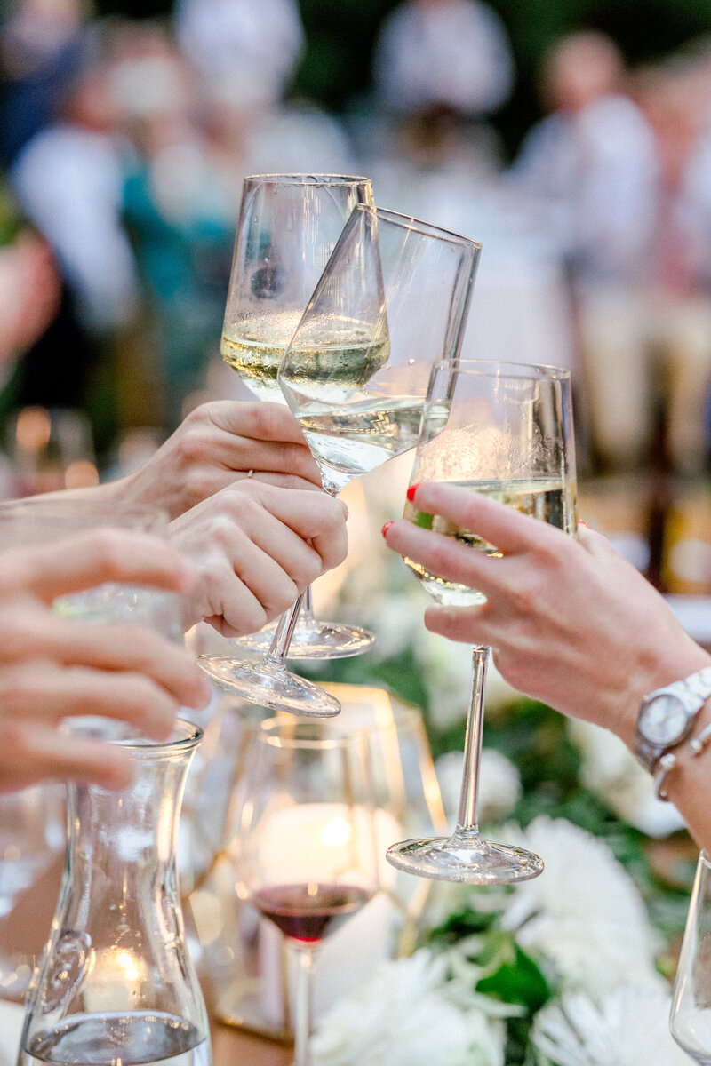 Atlanta Wedding Photographer | Champagne Glass Toast At Wedding Reception