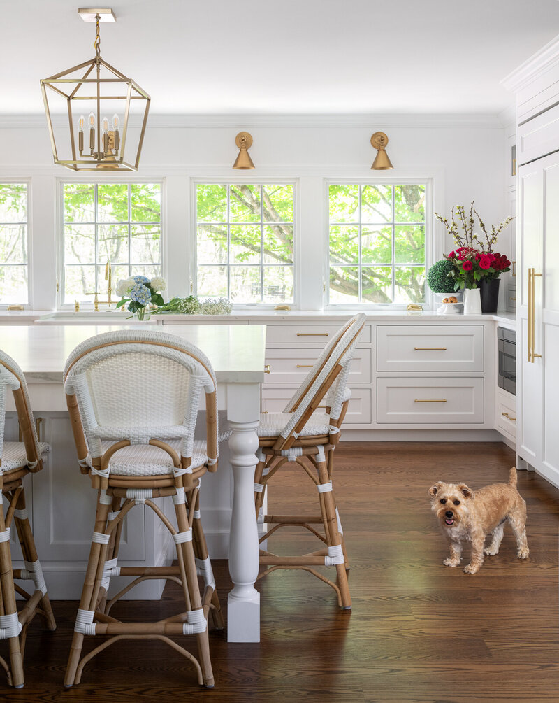 bright white kitchen with whicker and wood chairs and dog on dark wood floor