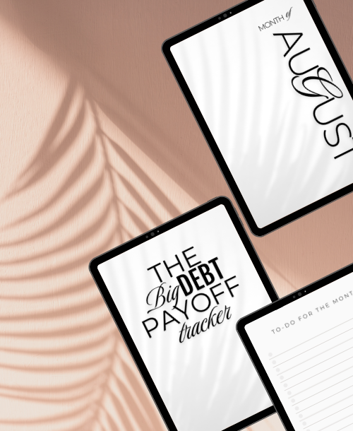 item details -THE BIG PAYBACK DEBT PAYOFF TRACKER