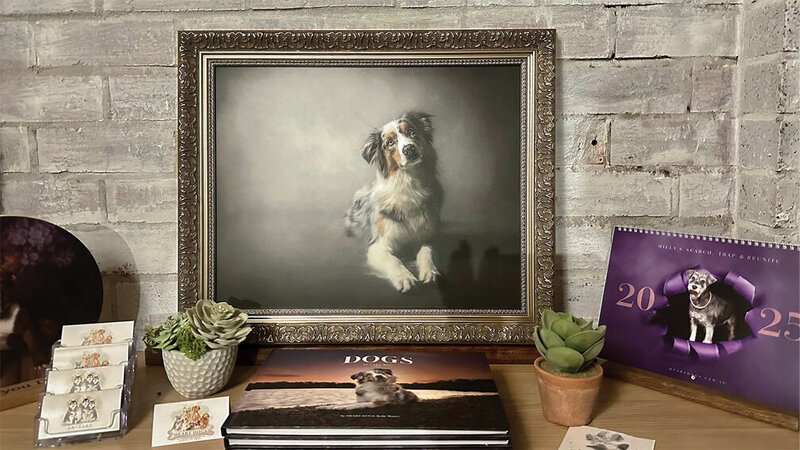 newcastle pet photographer 