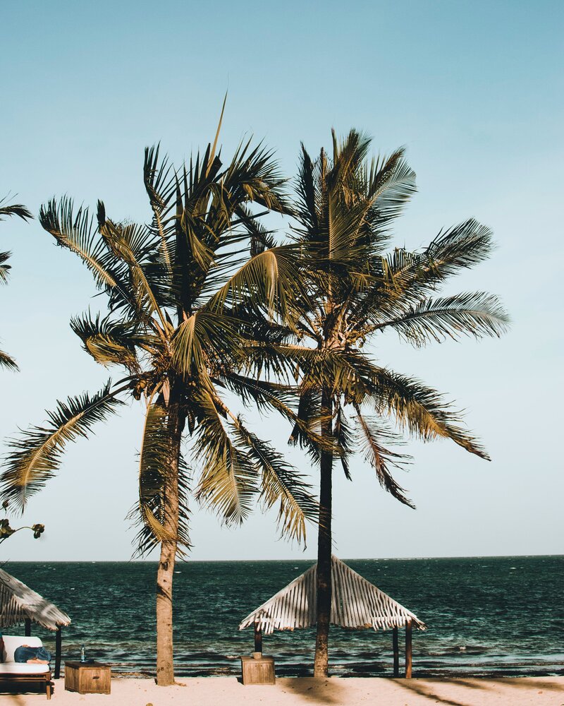 white sun loungers and umbrellas by the ocean