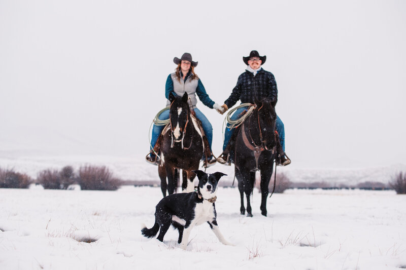 Couple on horseback playing in the snow