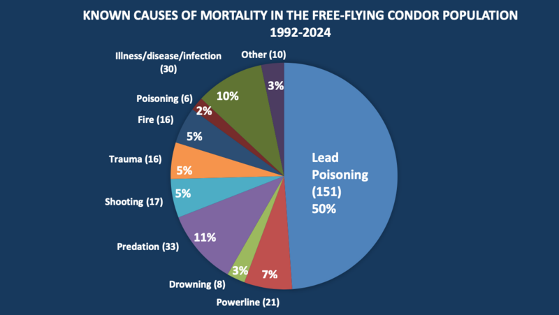 Condor-Death-Causes
