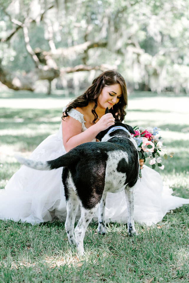 charleston wedding photographers sarah beach photography magnolia plantation _DSC0681