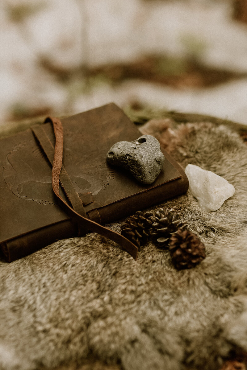 leather bound journal, pinecones and crystals