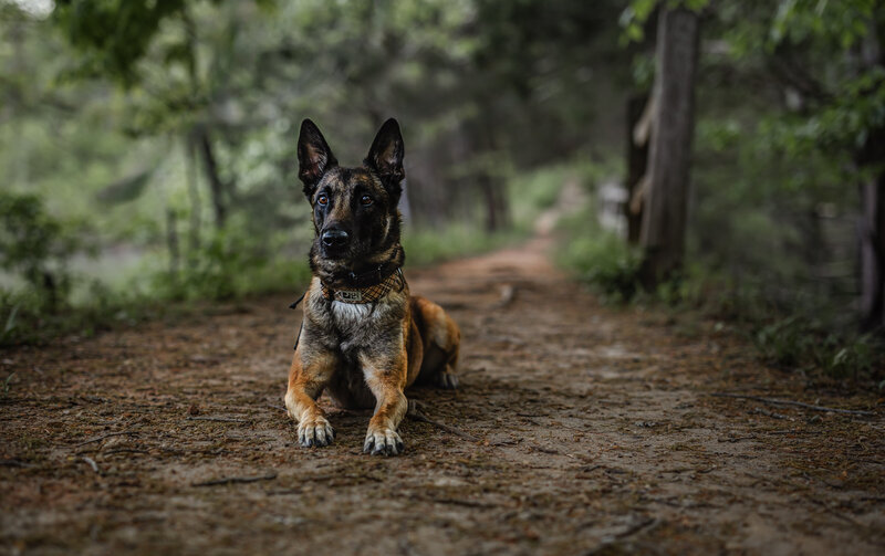 0T7A4133-Edit