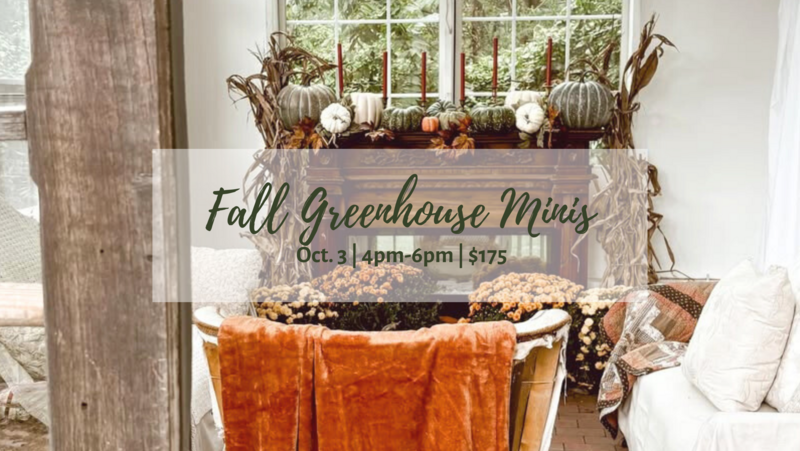 Fall greenhouse mini sessions in Jonesboro Arkansas with Blair Davis Photography