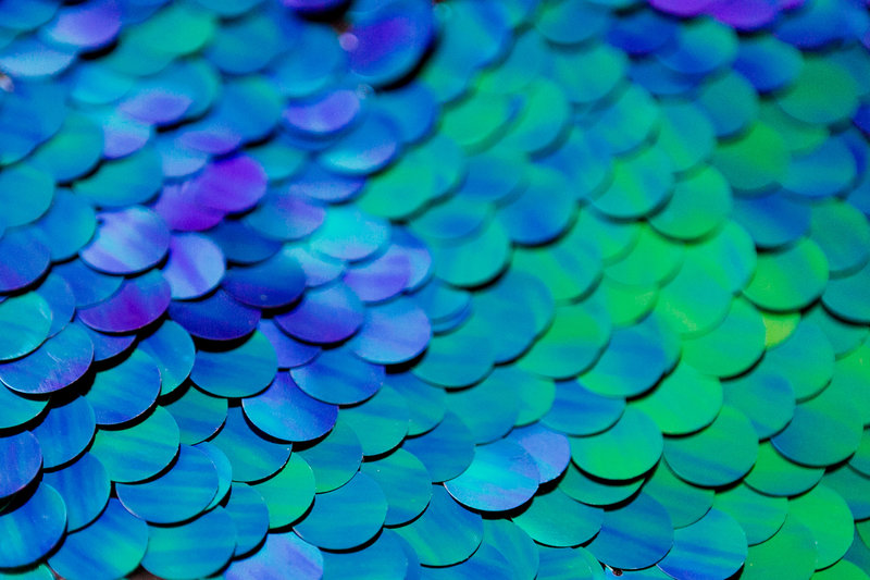 Peacock-SequinBackdrops-09