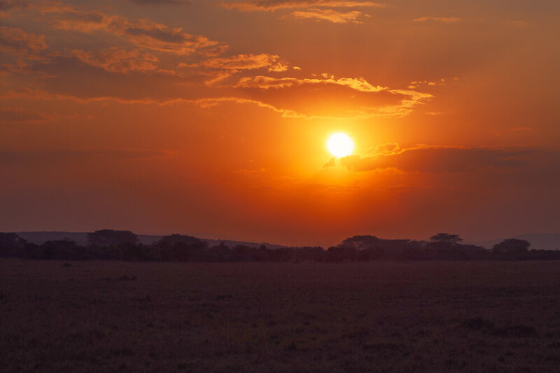 safariedited-531