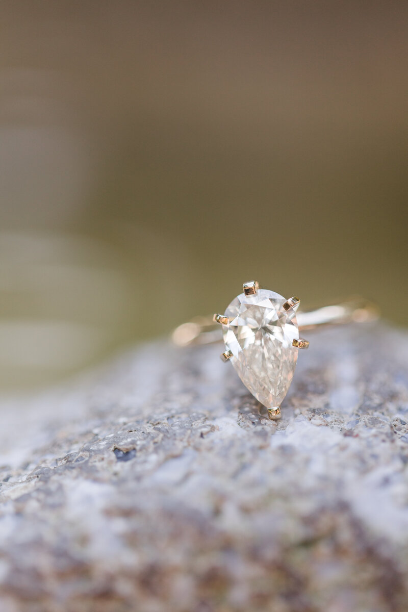 Jennifer B Photography-Bill & Shanin's Engagement Session-Sandhills Gardens and Pinrhurst NC-2020-0143