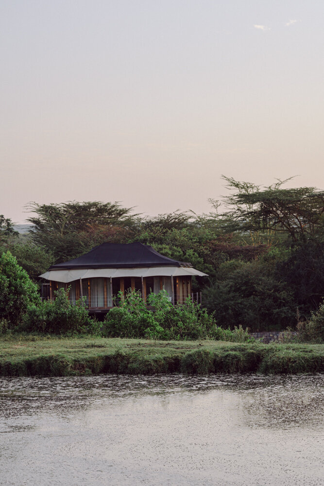 safariedited-354