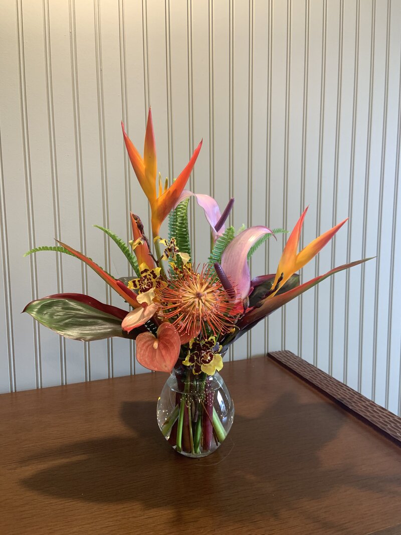Wailani Beginner