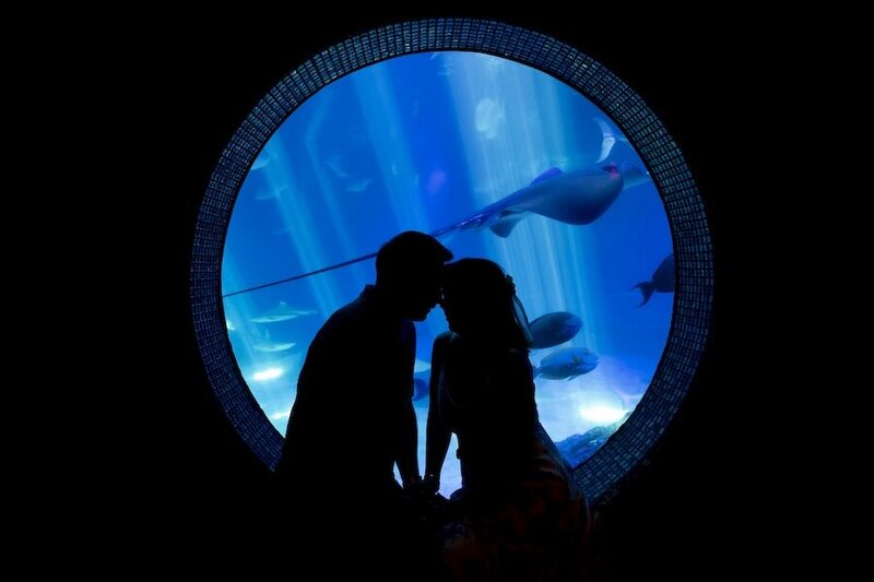 Maui proposal packages with flower circle