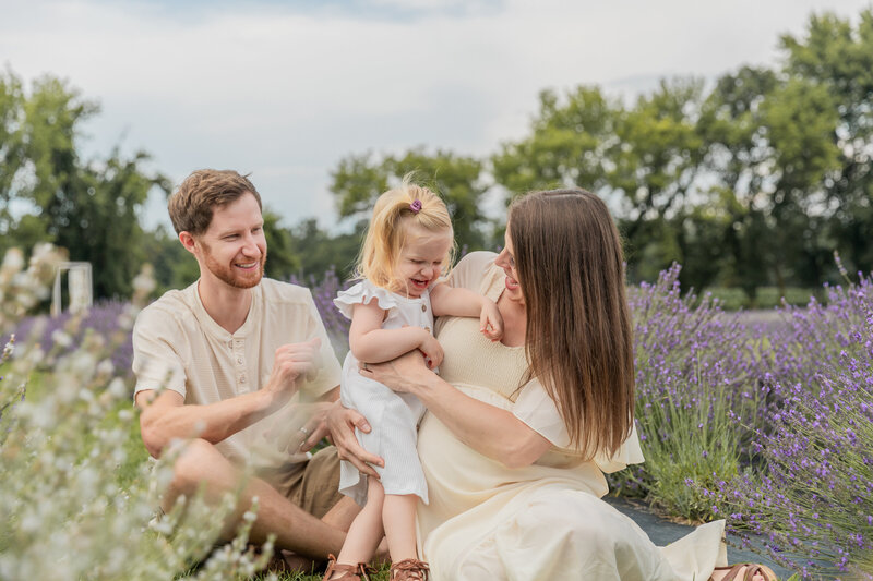 family with young toddler girl sits in lavender field and laughs together at lavender lane in milan michigan